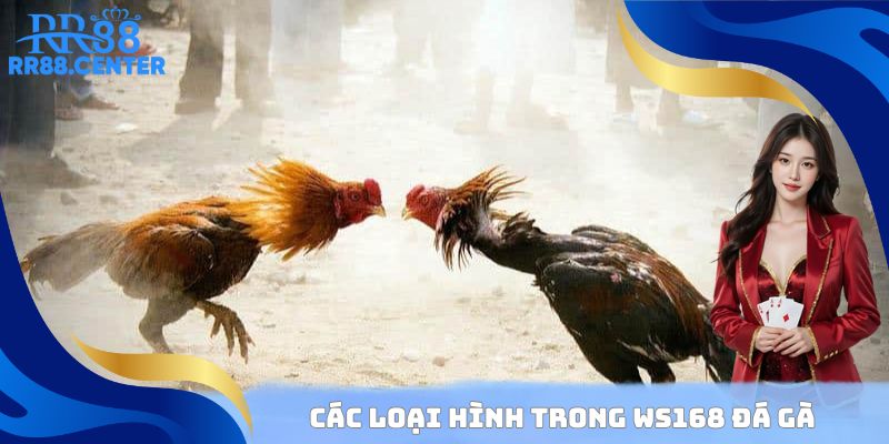 Các loại hình trong WS168 đá gà