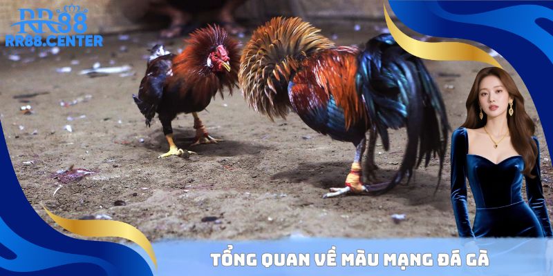 Một vài thông tin tổng quan về khái niệm màu mạng đá gà
