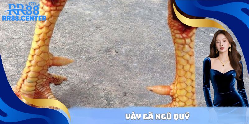 Vảy Gà Ngũ Quý